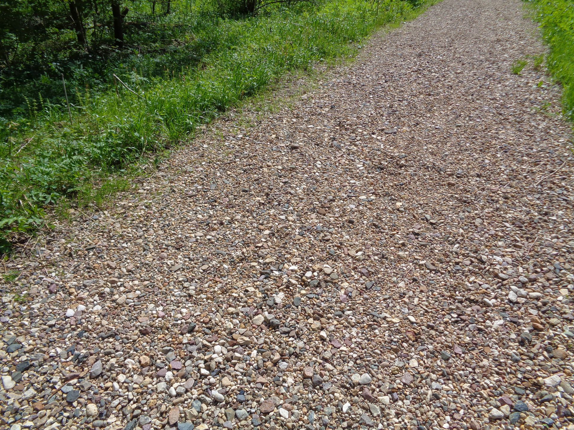 A gravel path going through a lush green forest. A gravel path going through a lush green forest.