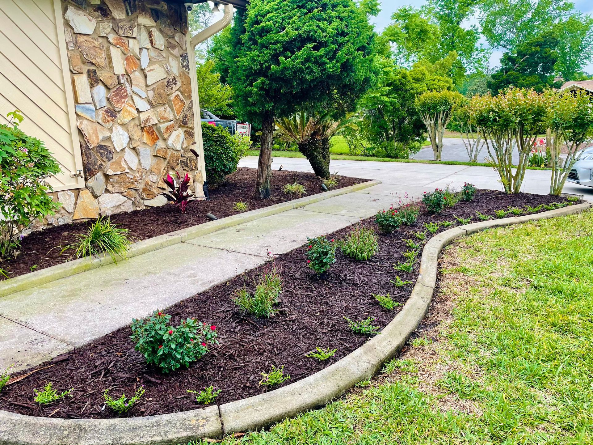 A walkway leading to a house with a stone wall and a lush green lawn.