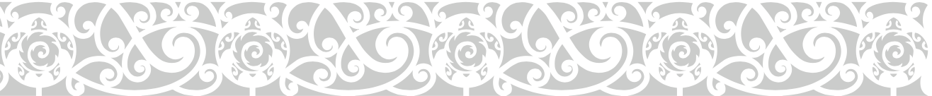 Tortuga logo