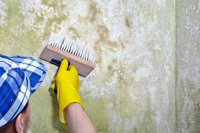 Person in yellow gloves scrubbing a moldy wall with a brush
