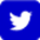 twitter Icon