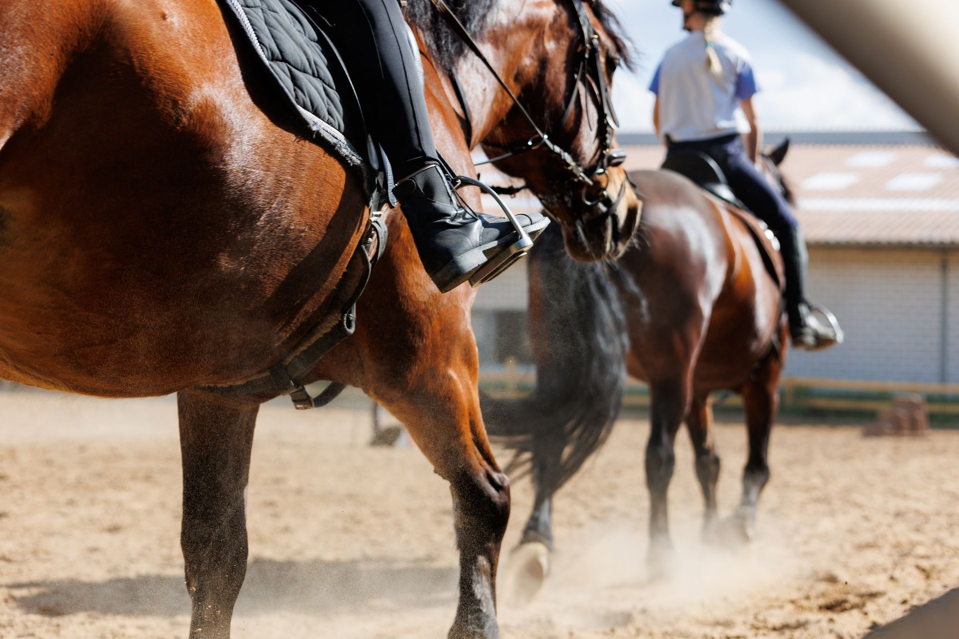 Fun Things To Do In Denver with families enjoying outdoor polo activities