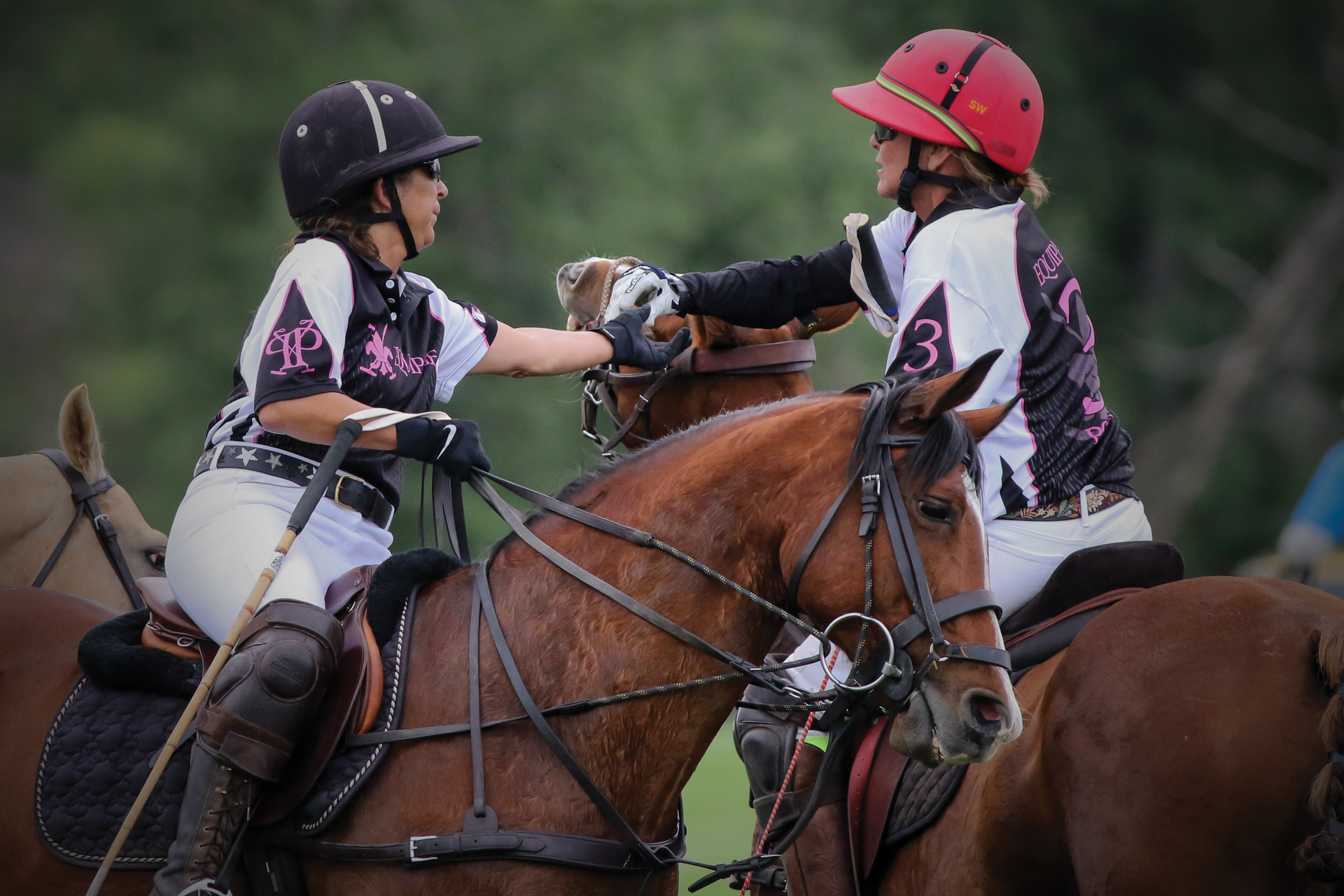 Family outdoor activities Denver with energetic polo match celebration