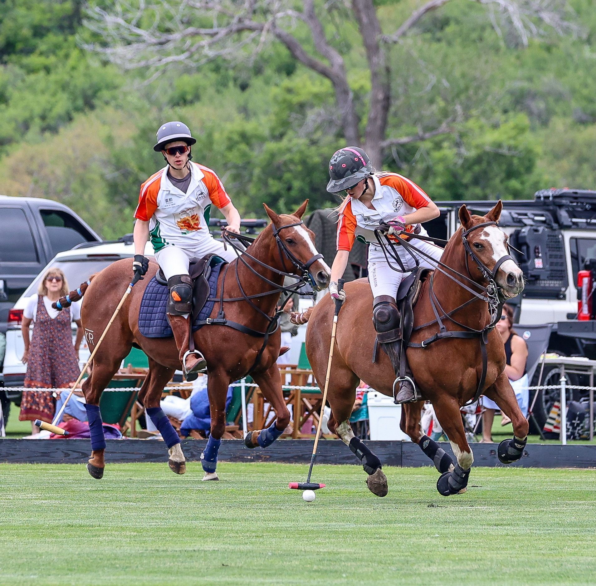 Two polo players on horseback, wearing helmets, swing mallets. Green field.