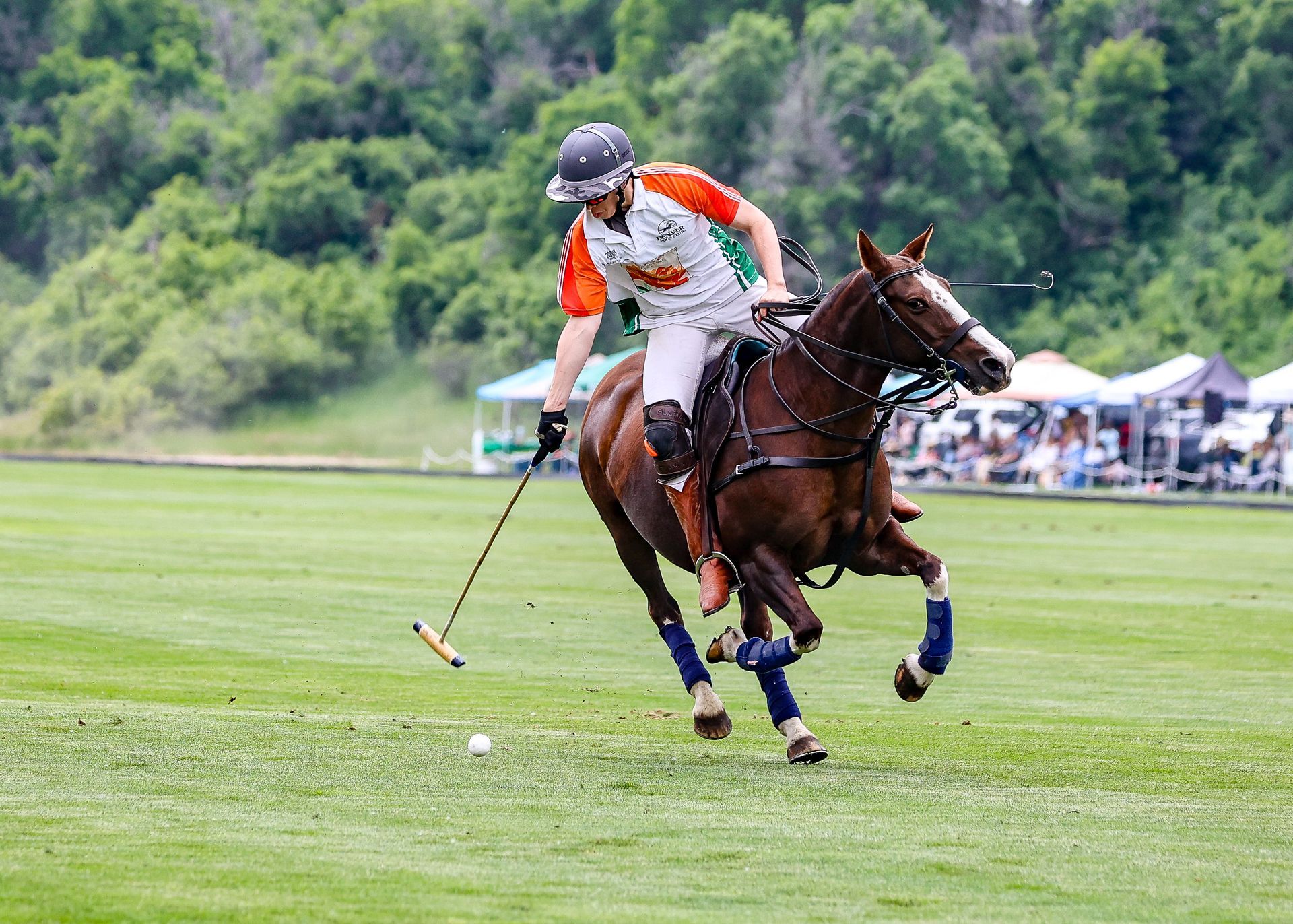 Family Friendly Things To Do In Denver at exciting Sunday Funday polo event
