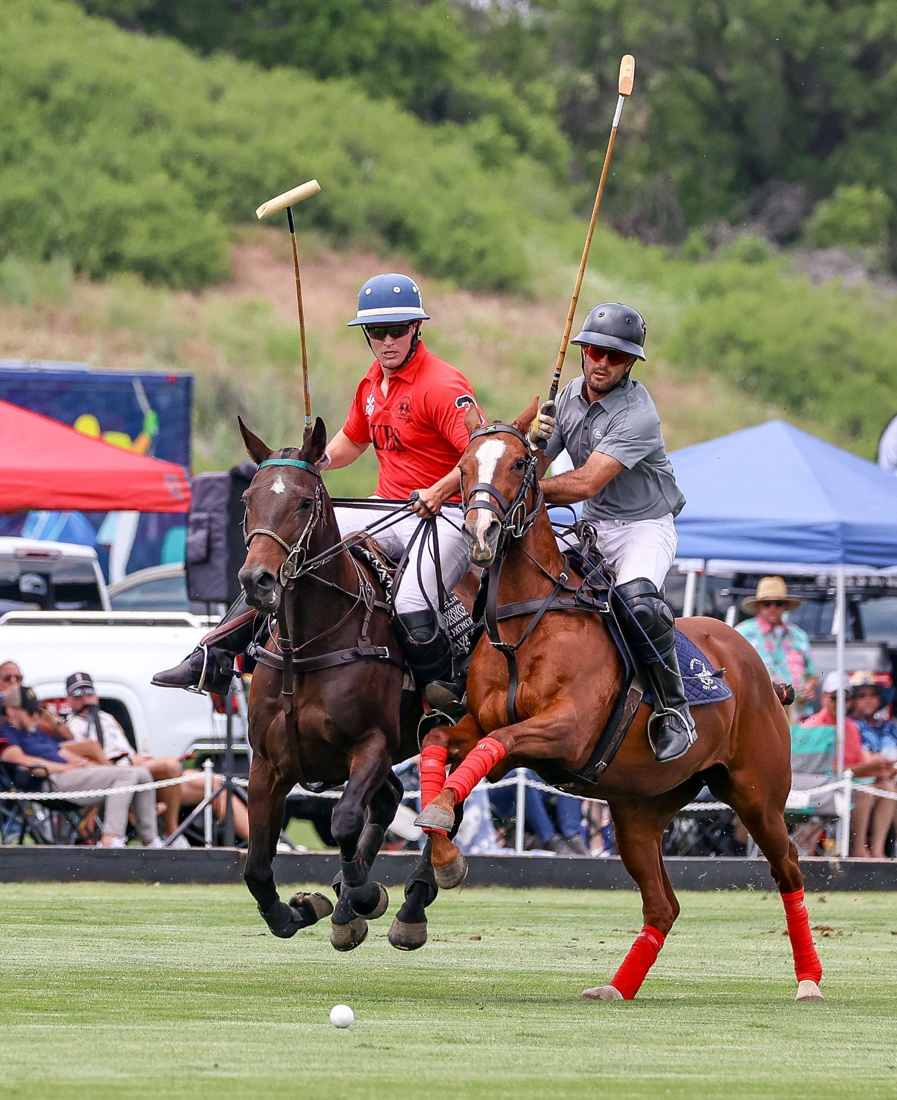 Two polo players on horseback, swinging mallets. One in red, one in gray. Green field, spectators in background.