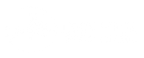 A white background with a few lines on it
