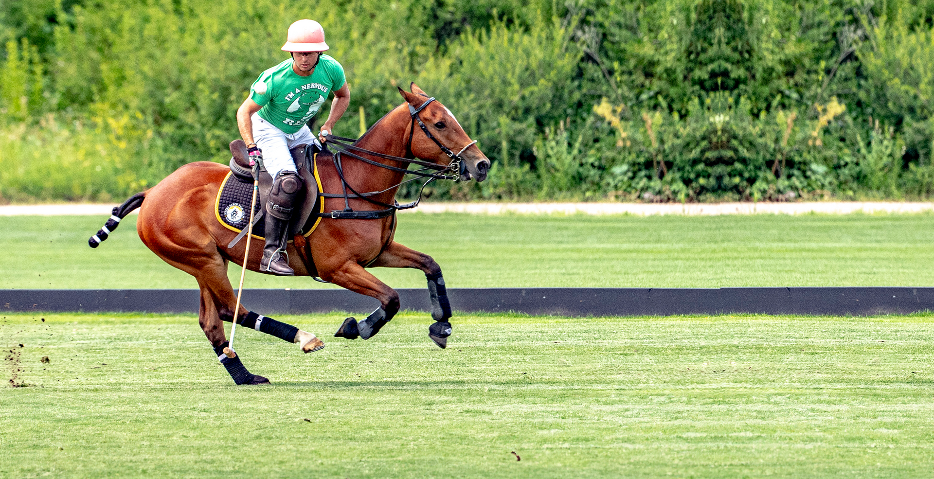Family Fun Things To Do In Denver with lively polo match and audience fun