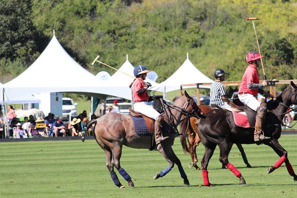 A group of people are riding horses on a field.