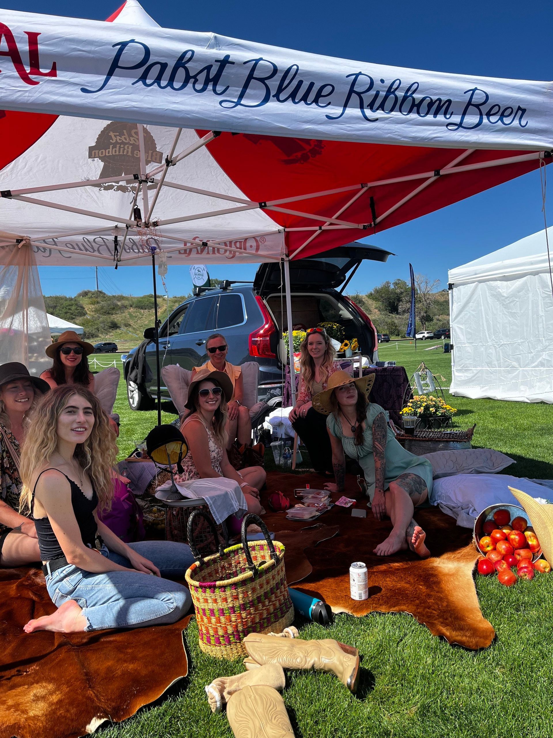 A group of people are sitting under a tent in a field.