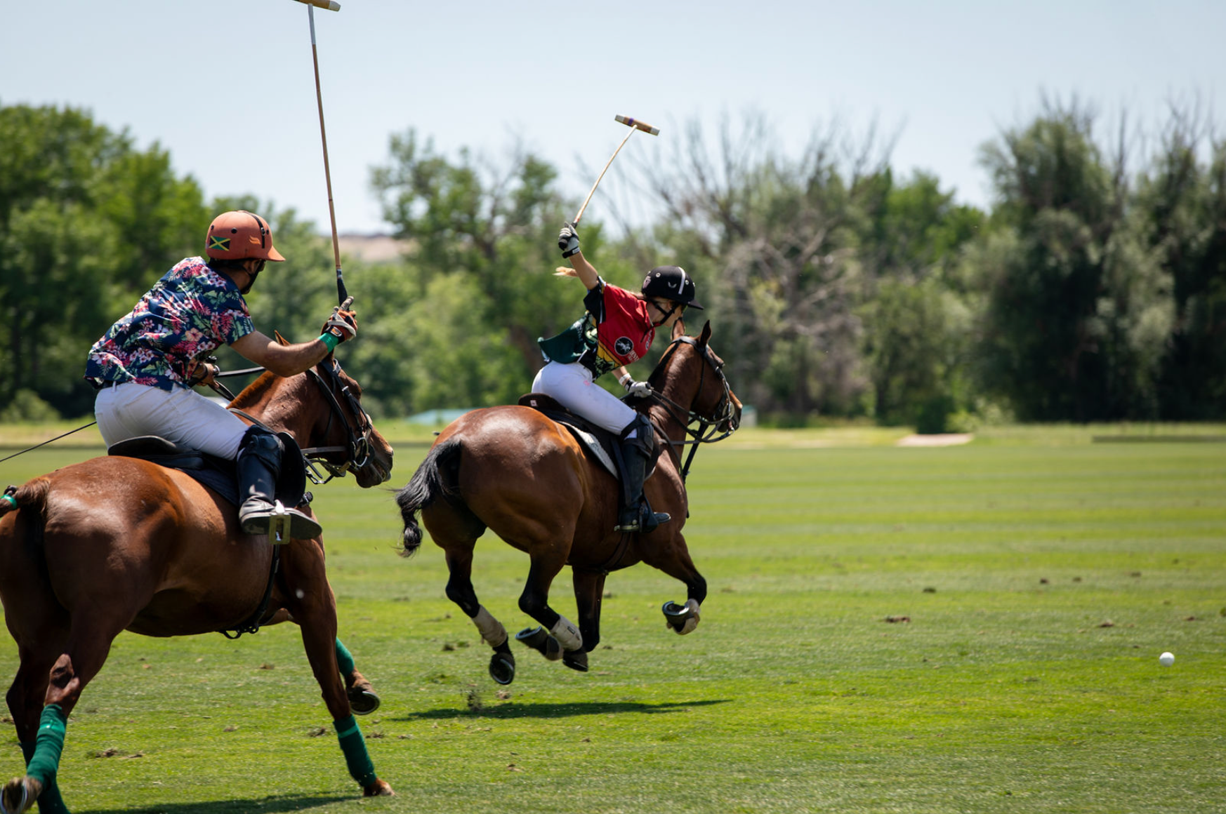 Two people are riding horses on a field playing polo.