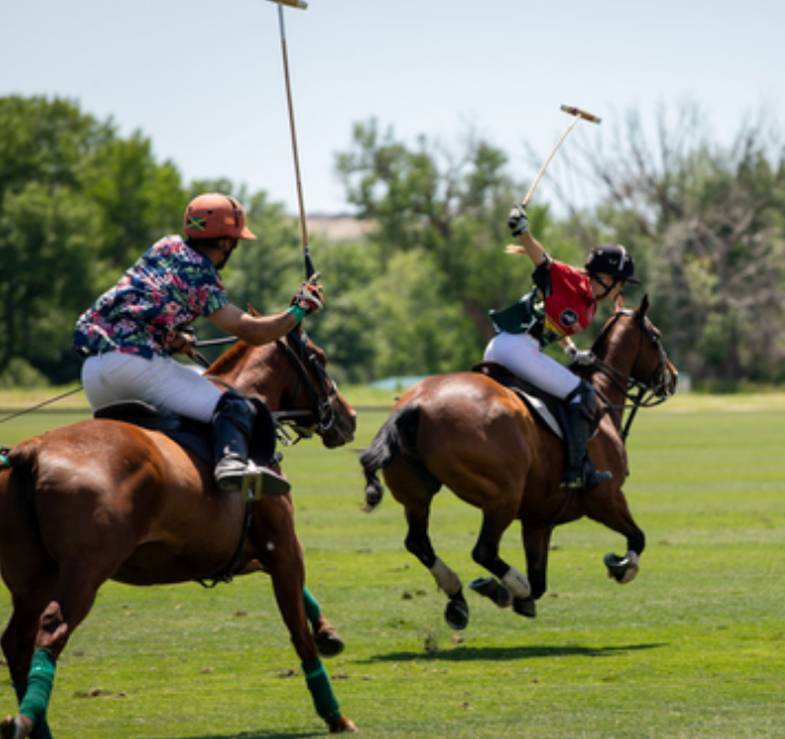 Family outdoor activities Denver with polo event highlights and crowd view