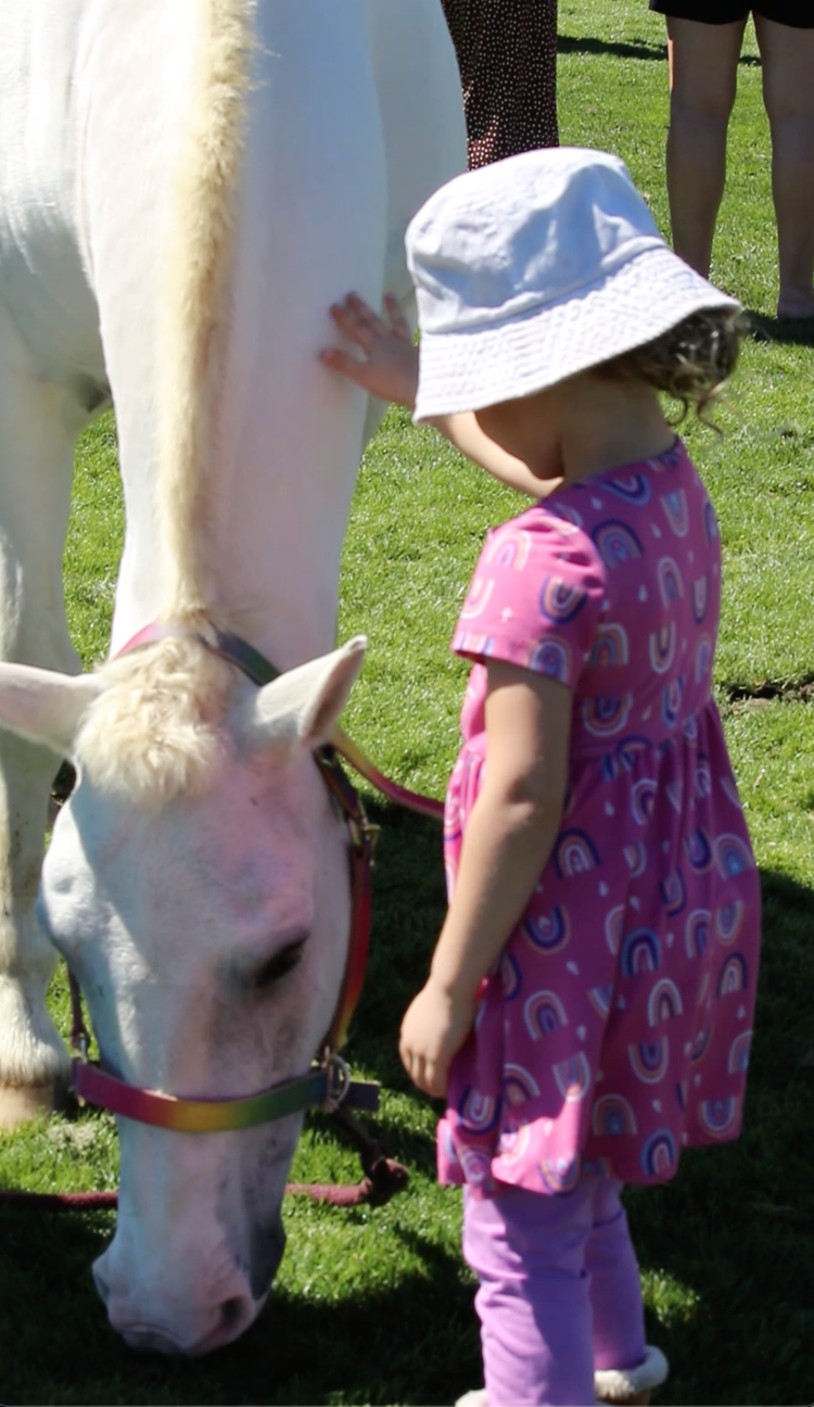A little girl in a pink dress petting a white horse