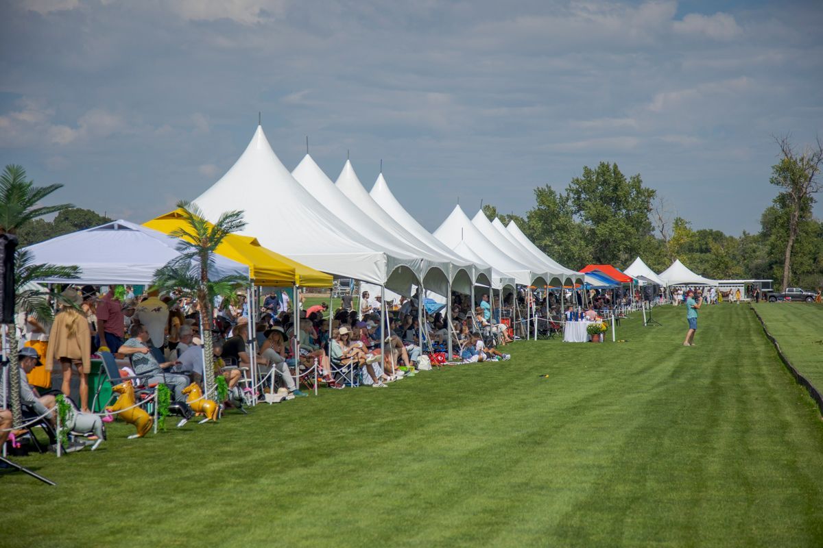 People watching an event from under white tents on a grassy field on a sunny day.