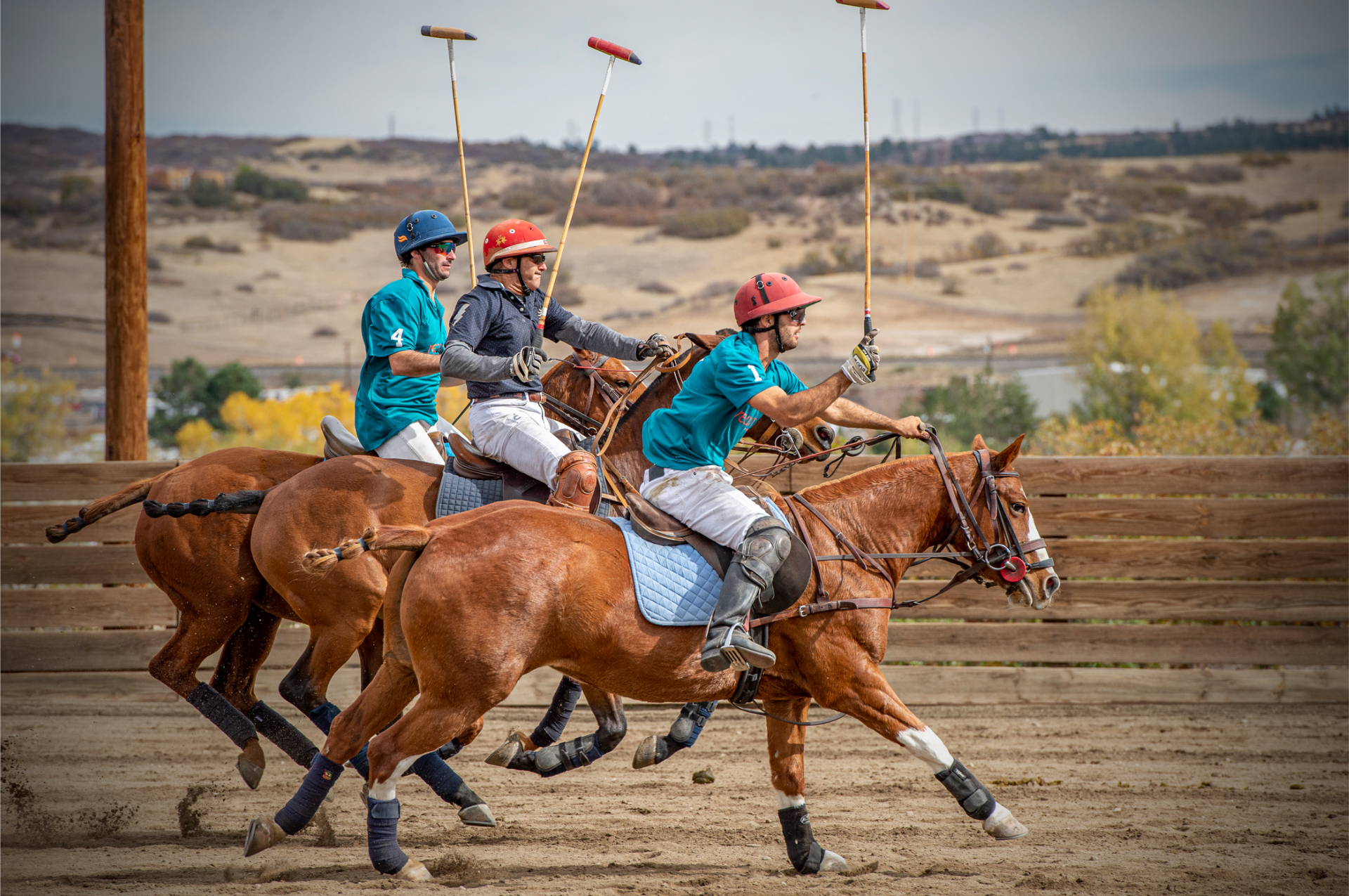 Outdoor Adventures Denver featuring professional polo arena and field view
