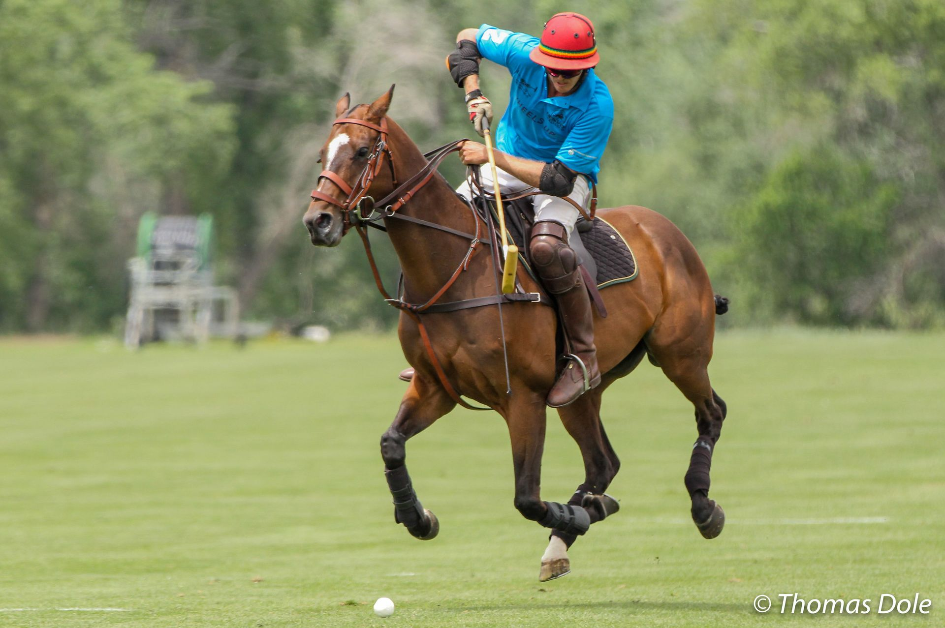 Family Friendly Things To Do In Denver showcasing polo lifestyle experience