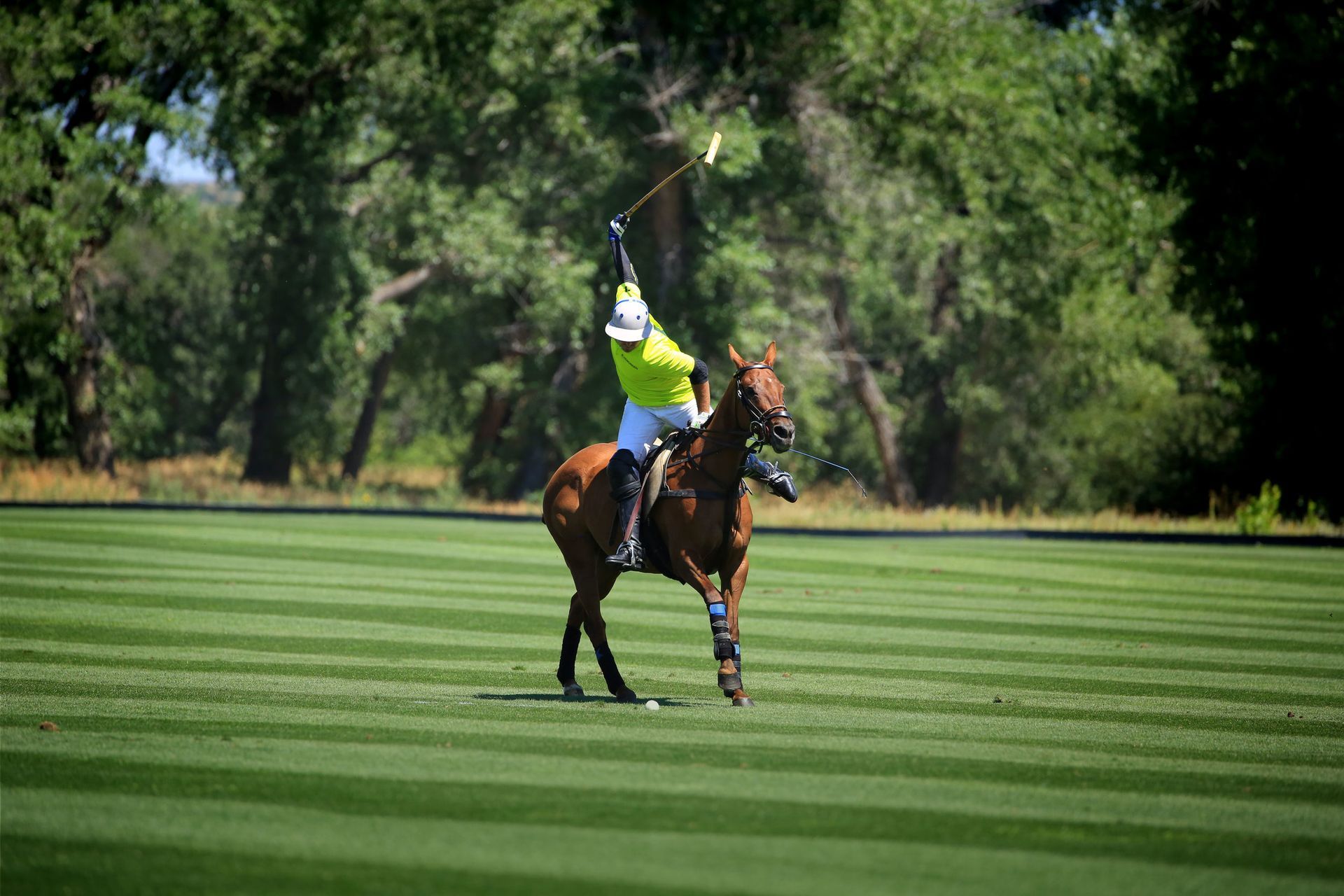 Outdoor Adventures Denver with fast-paced polo match and crowd energy