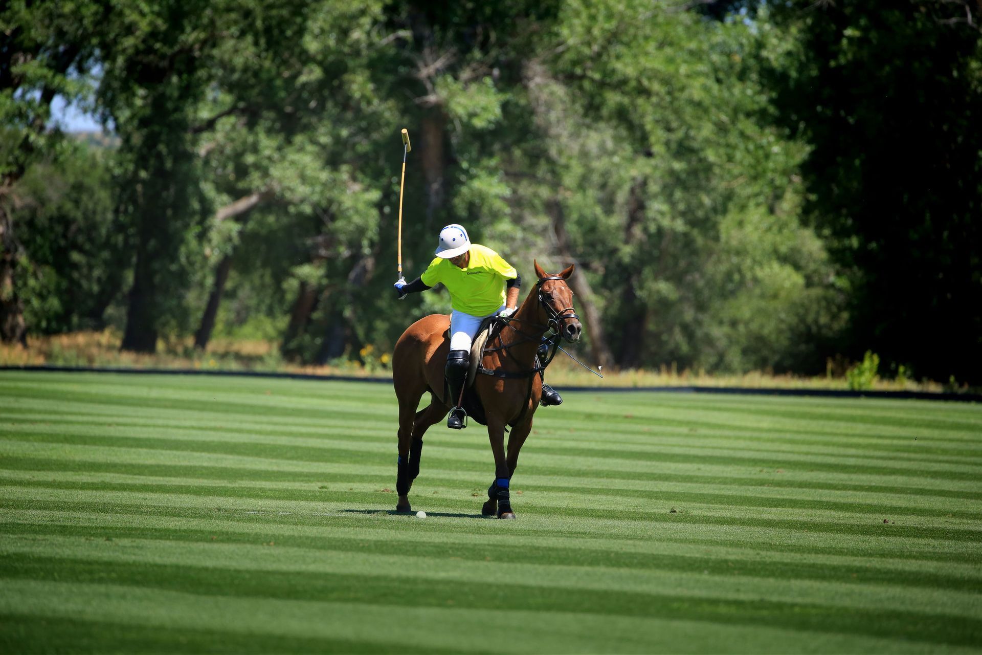 Family outdoor activities Denver with engaging polo sports environment