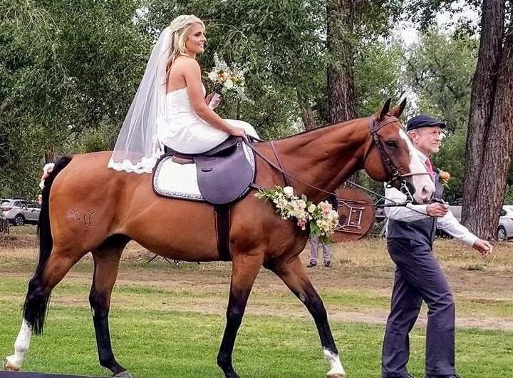 Family Friendly Things To Do In Denver with elegant outdoor wedding event