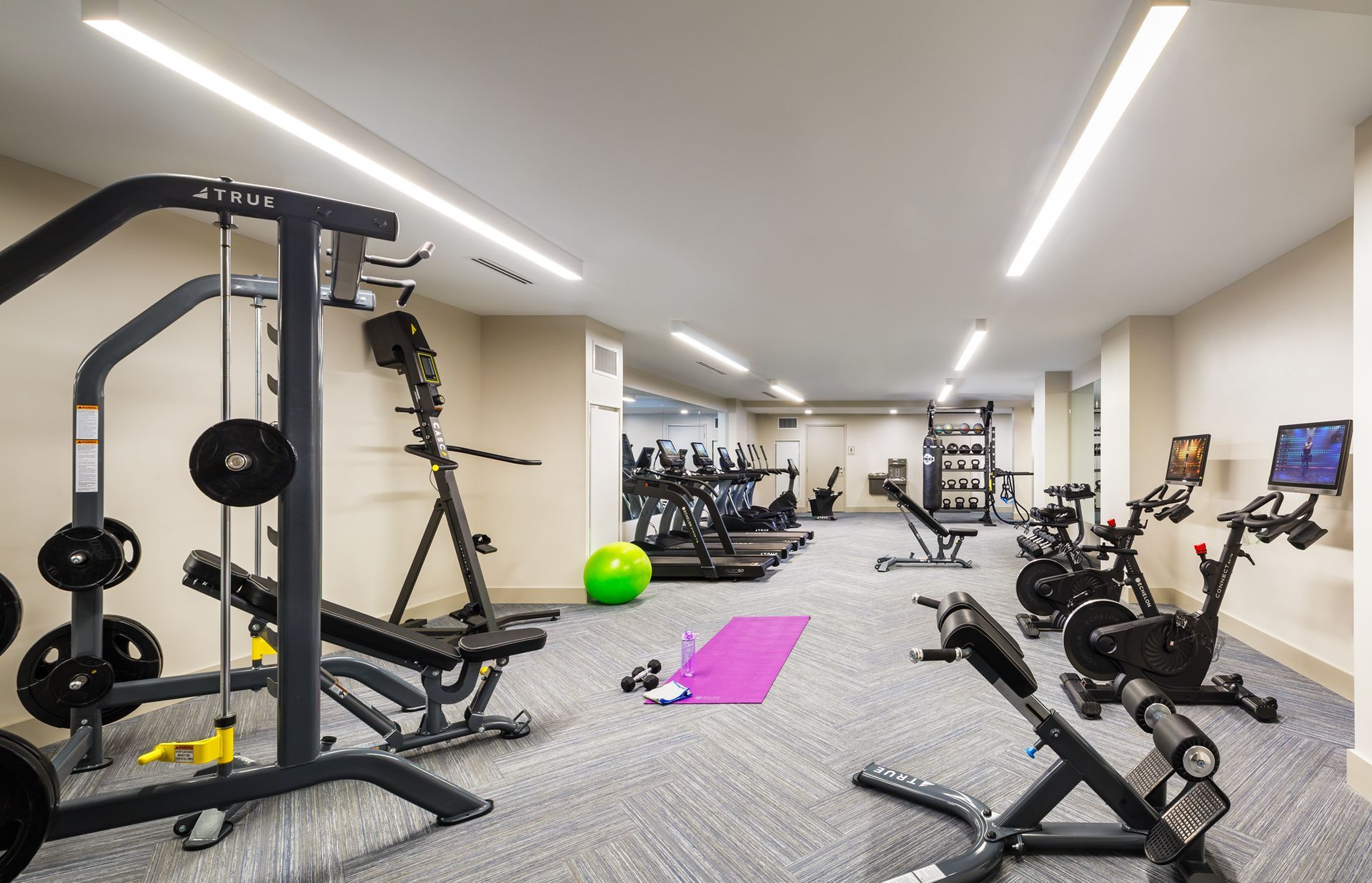 Gym with weight machines, treadmills, exercise bikes, and free weights; lit by overhead lights.