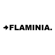 logo flaminia