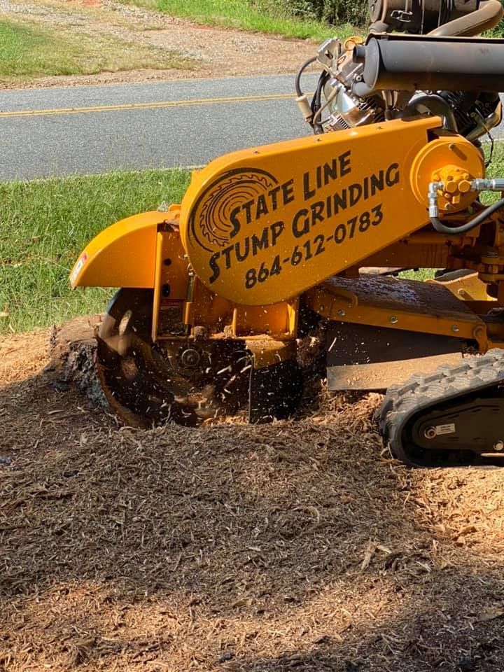 Yellow stump grinder removing a tree stump next to a road.