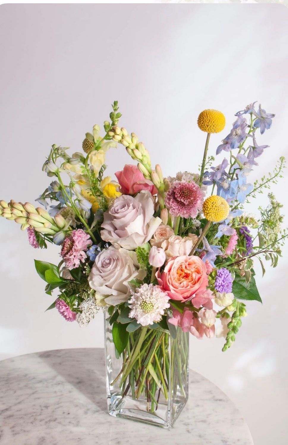 Pastel Gardens