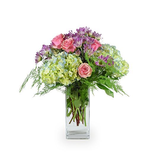 Meadow Mix