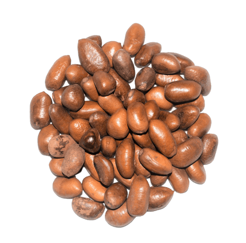 noix de pèbè