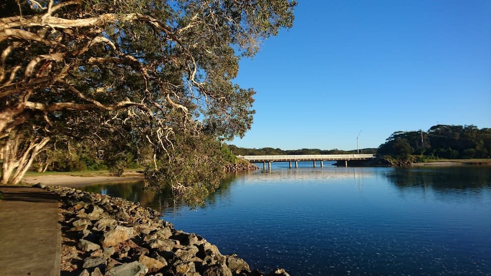 A River with A Bridge in The Background and A Tree in The Foreground — Cemak Constructions in Lake Cathie, NSW