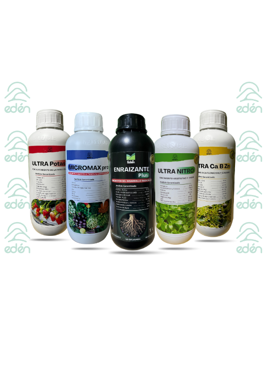 Cinco botellas de suplemento vegetal Eden en blanco, azul, negro, transparente 
