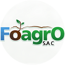 Logotipo de Foagaro SAC con letras verdes y azules y un pequeño icono de una hoja brotando.