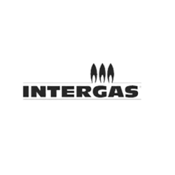 Een zwart-wit logo voor een bedrijf genaamd intergas.