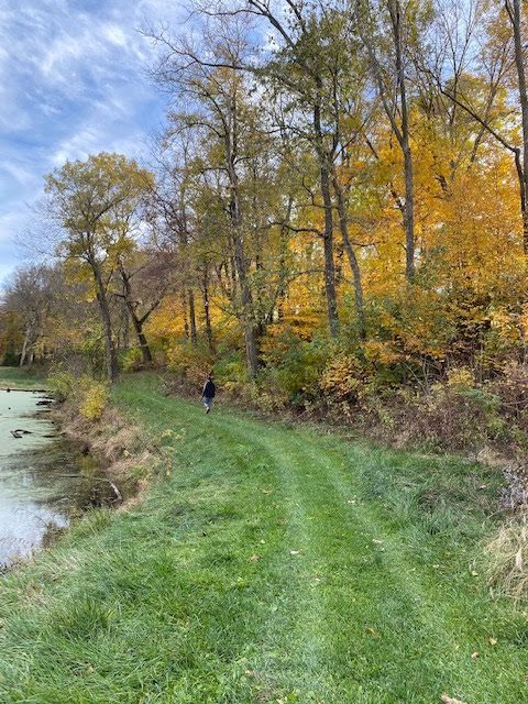 Walking Trail