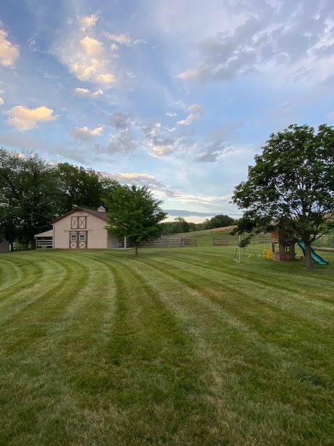 Field