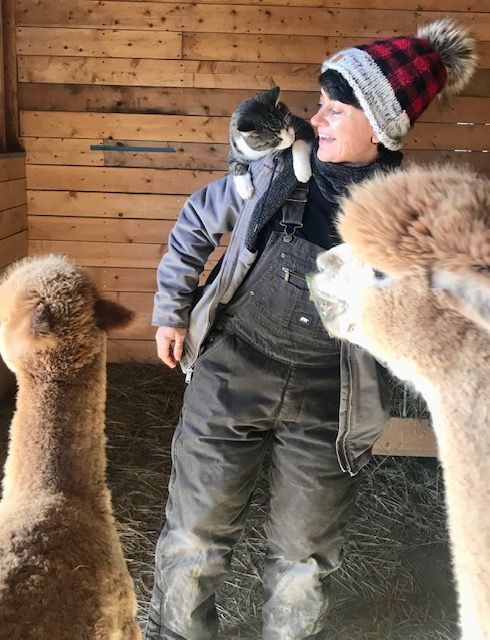 Alpacas