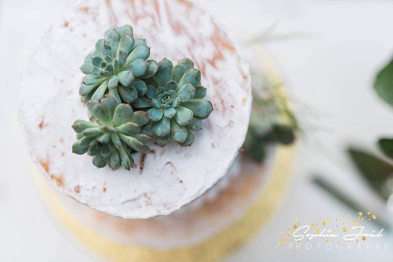 cake with succulent topper
