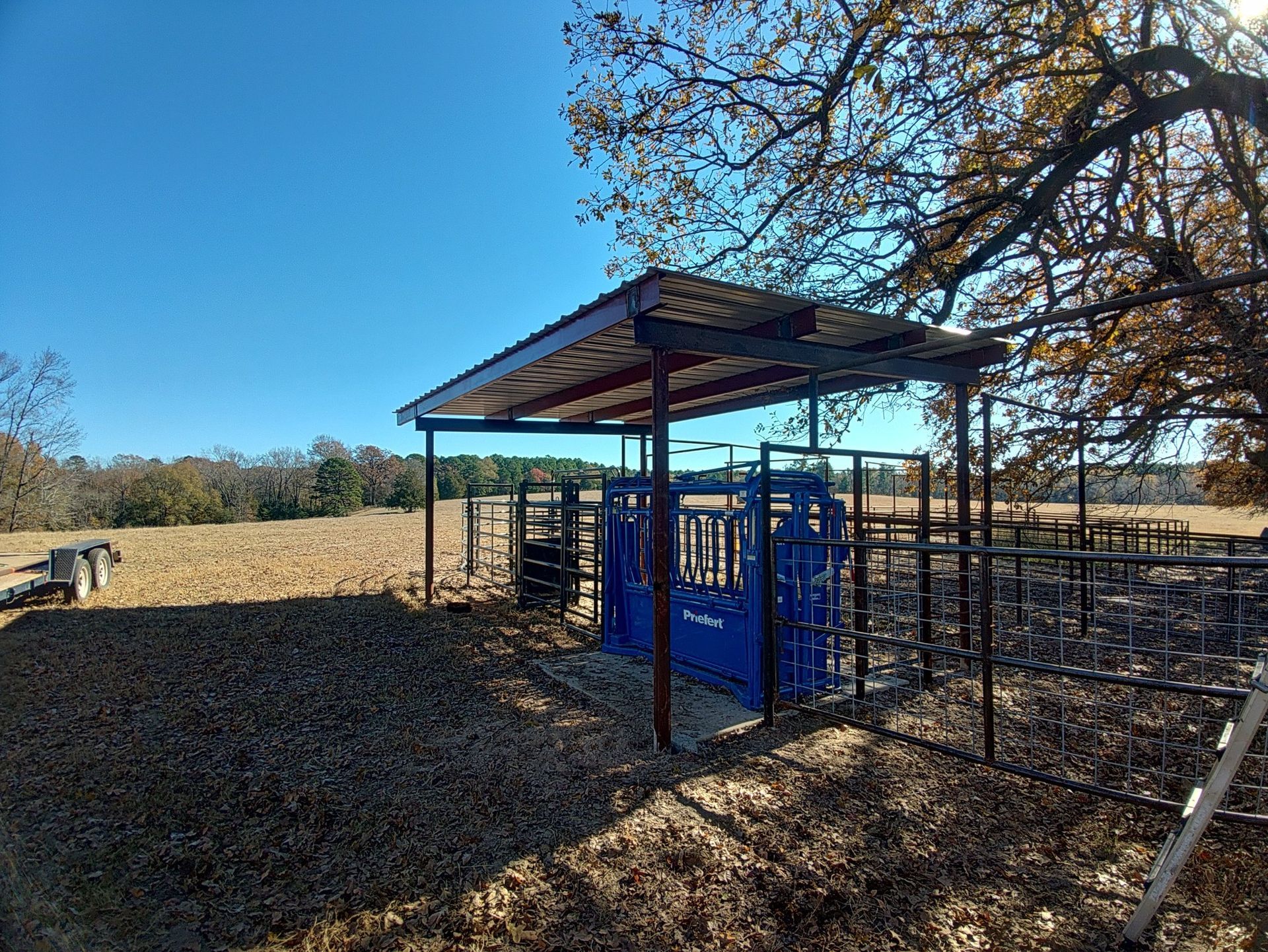 Blue metal animal pen with a roof in a dry open field under a clear sky