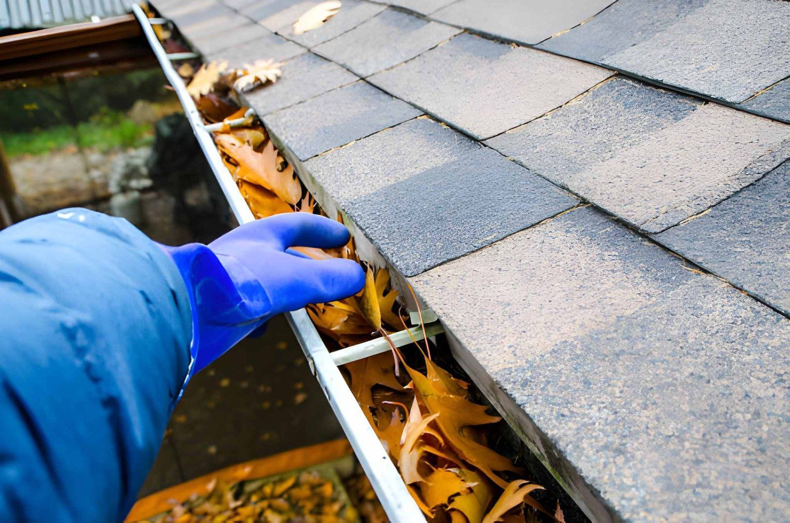 Blue-gloved hand cleaning leaves from a house roof gutter