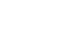CIC white rectangular transparent logo