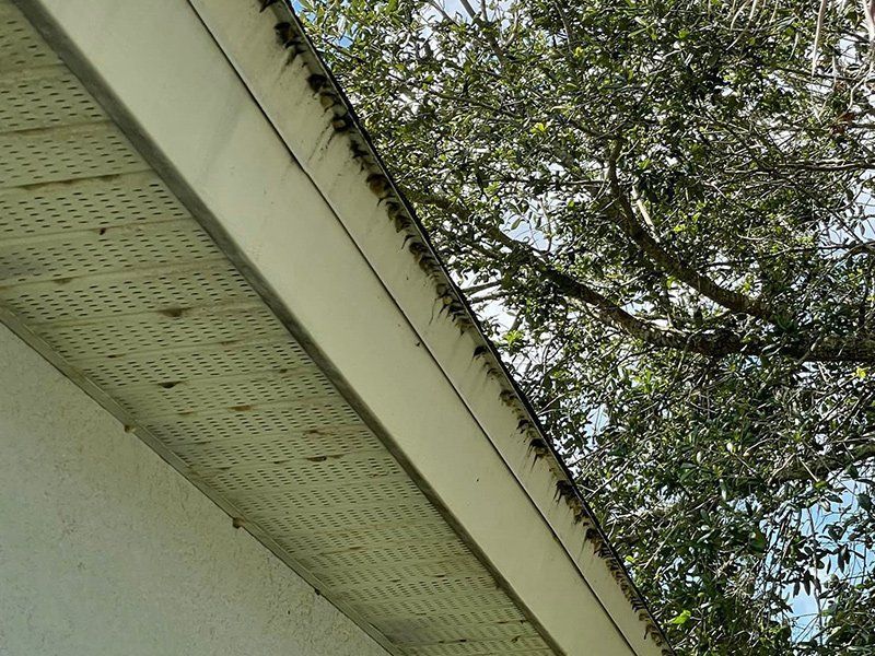 A side view of a house eave with stained, vented soffit panels and dark organic debris lining the edge of the roof.