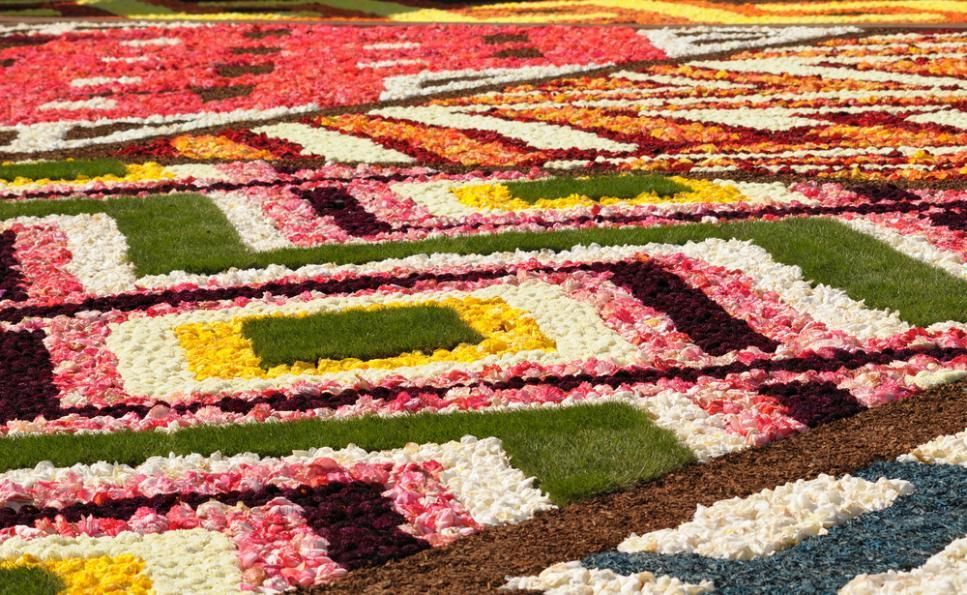 A Close Up Of A Carpet Made Of Flowers And Grass — B2B Flooring Solutions In Mid North Coast, NSW