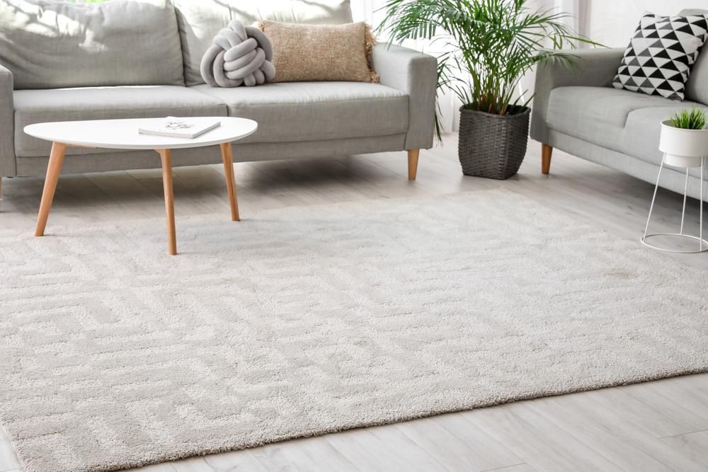 A Living Room With A Couch, Table, And Rug — B2B Flooring Solutions In Wauchope, NSW