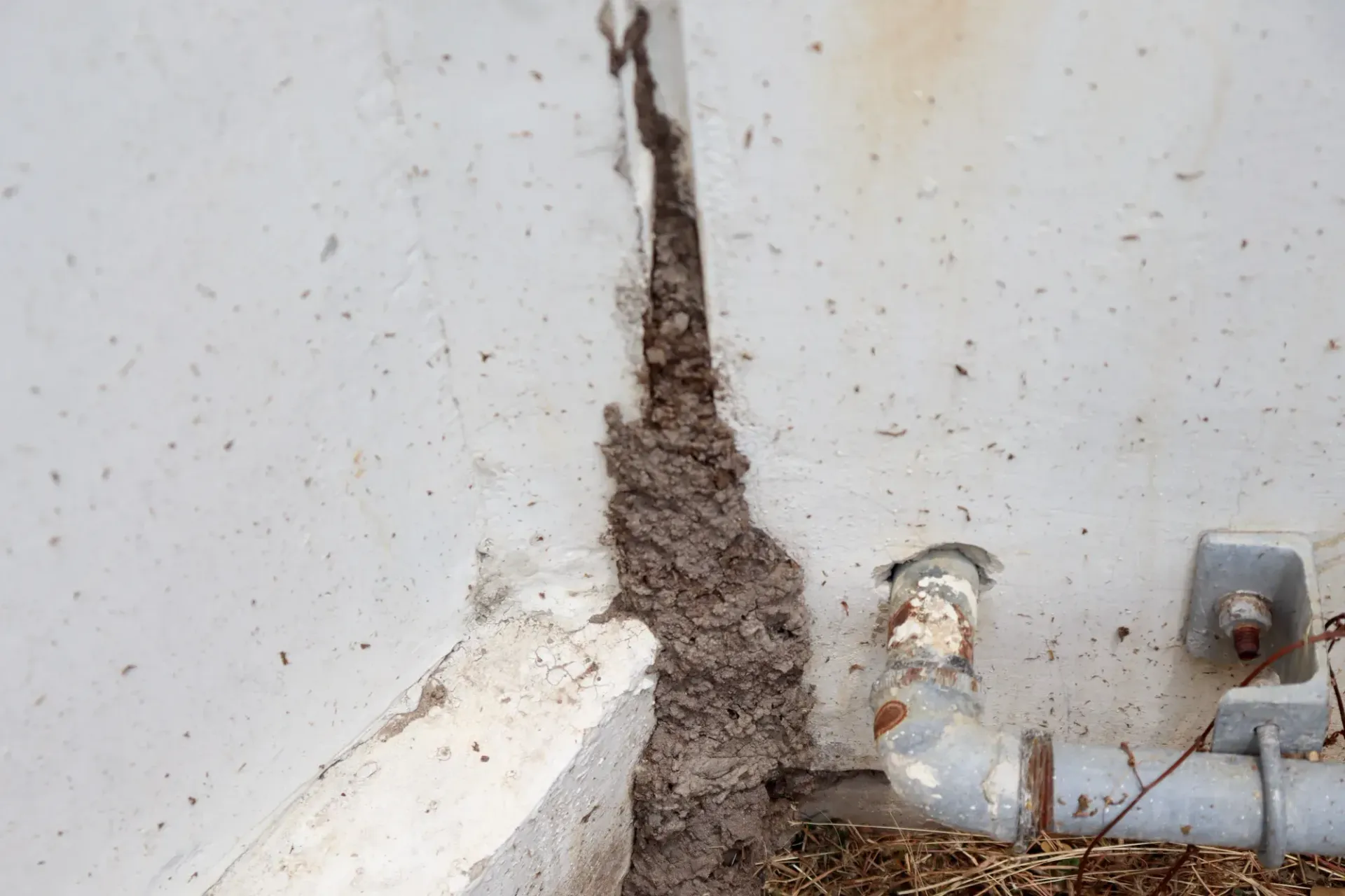 Cracked White Wall With A Vertical Patch Of Crumbling Brown Damage Near The BASE And Exposed Fittings — HYVIS Pty Ltd in Mulambin, QLD