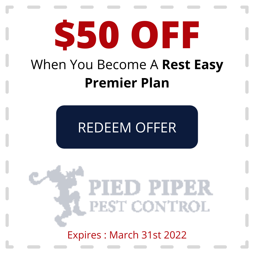 Coupon for $50 off Rest Easy Premier Plan from Pied Piper Pest Control. Expires March 31, 2022.