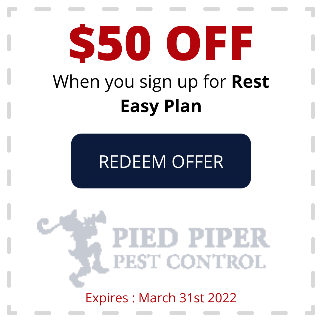 Coupon for $50 off Rest Easy Plan at Pied Piper Pest Control. Expires March 31st 2022.