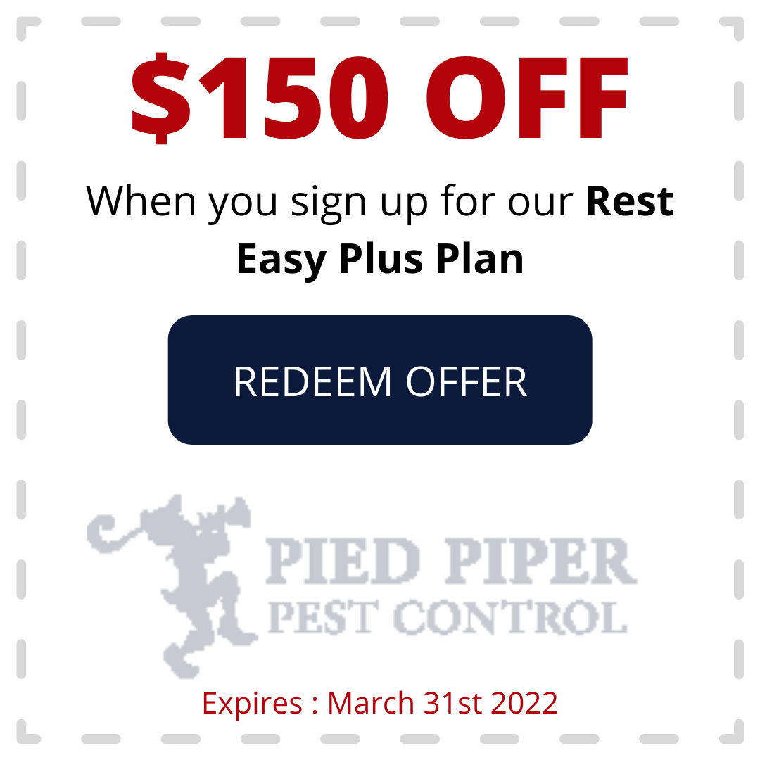 Coupon: $150 off Rest Easy Plus Plan from Pied Piper Pest Control. Offer expires March 31st 2022.