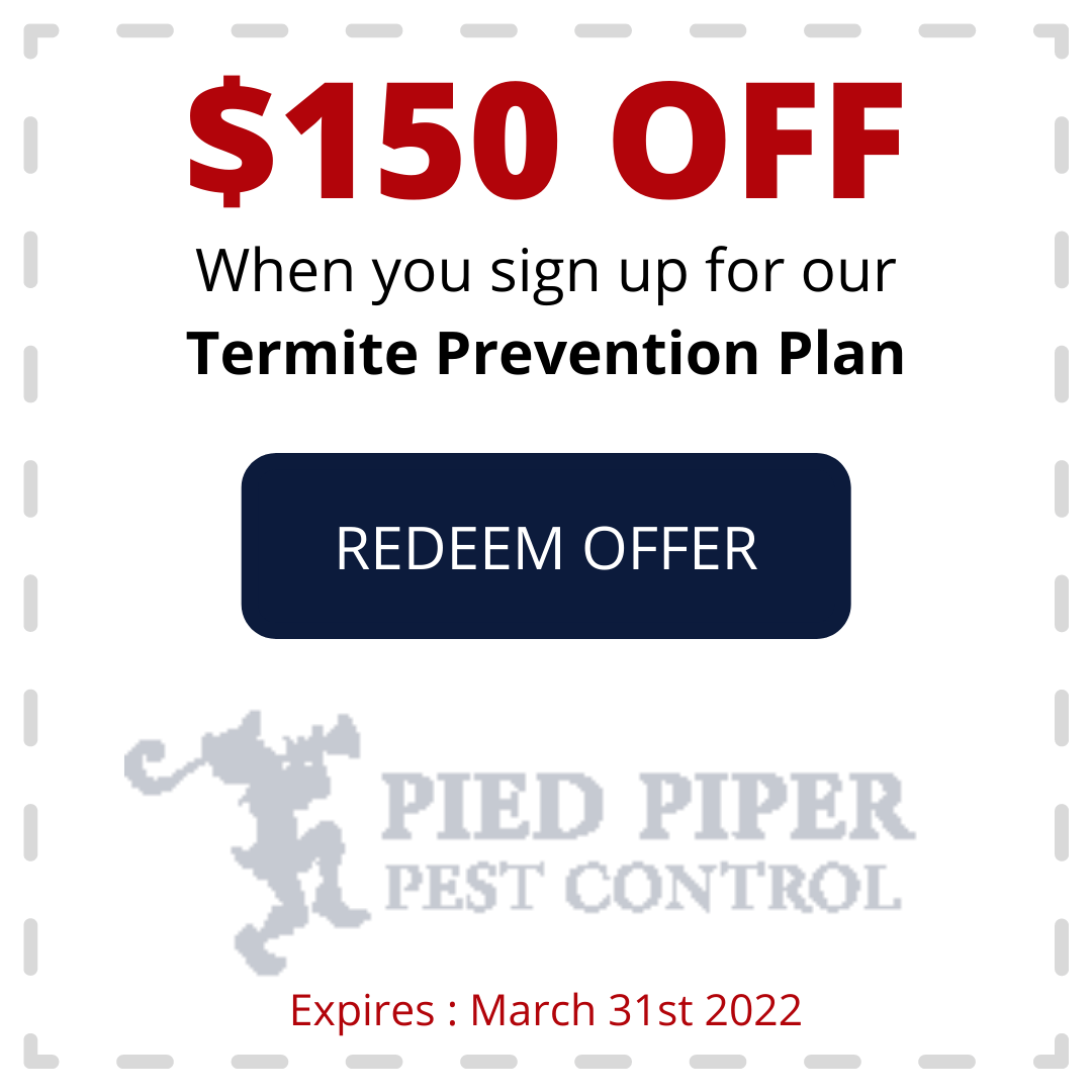 Coupon for $150 off Termite Prevention Plan from Pied Piper Pest Control. Offer expires March 31st 2022.