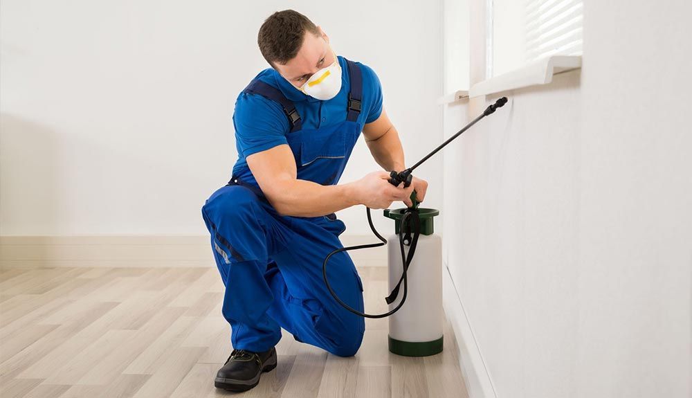 Pest control worker in blue overalls and mask spraying a wall with a white canister in an interior room.