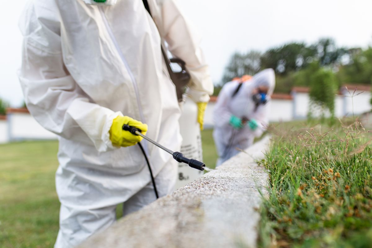 Two people in protective suits spraying insecticide outdoors.